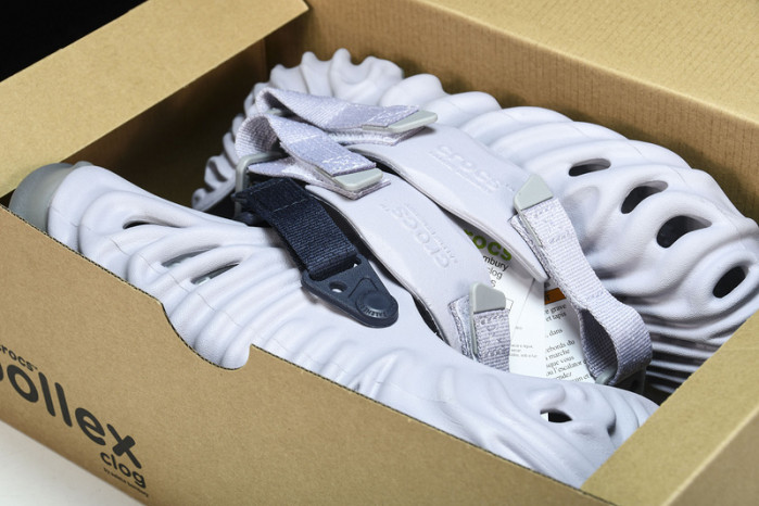 Cr0c5 pollex clog “urchin” cp-1